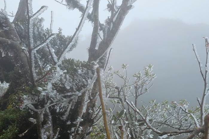 Ta Xua xuat hien bang gia giua mua thu hinh anh