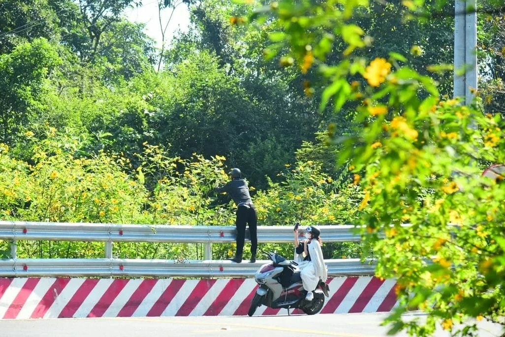 Ngan ngam nan ngat hoa, be canh da quy o Ba Vi hinh anh