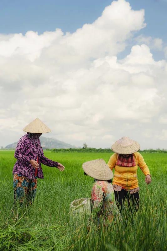 Gästfoto 5 Khach anh 5