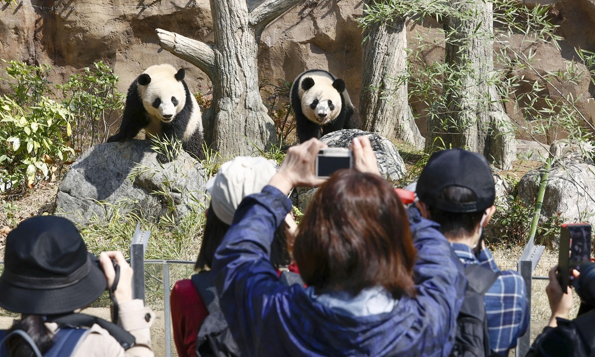 Tiec nuoi nhin nhung con gau truc cuoi cung sap roi Nhat Ban hinh anh