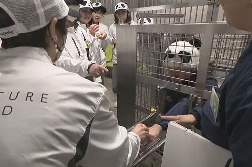 Nhan vien cong vien Nhat Ban dong gia gau truc 'niu keo' khach du lich hinh anh