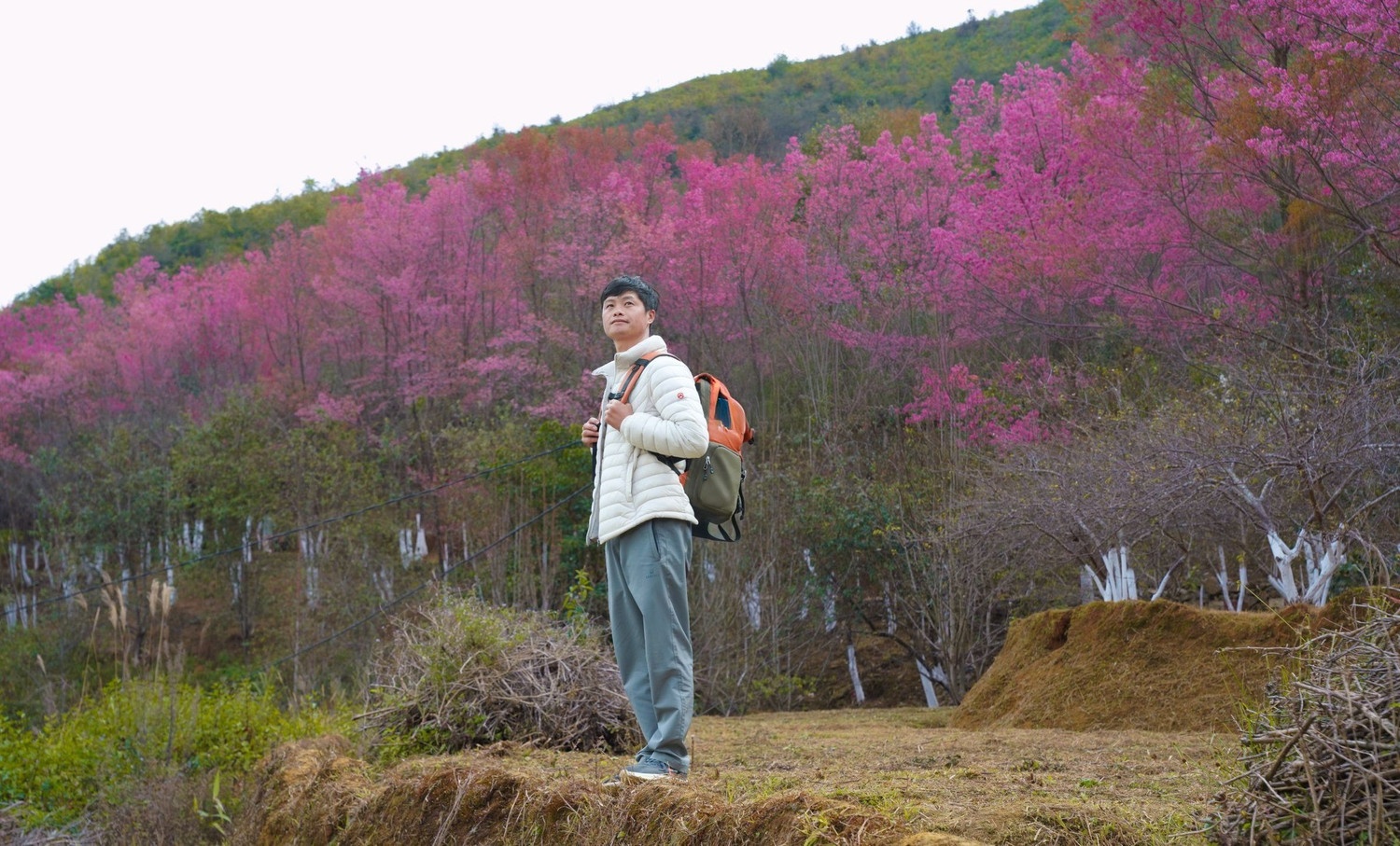 Sa Pa, Mu Cang Chai 'boi khach' hinh anh