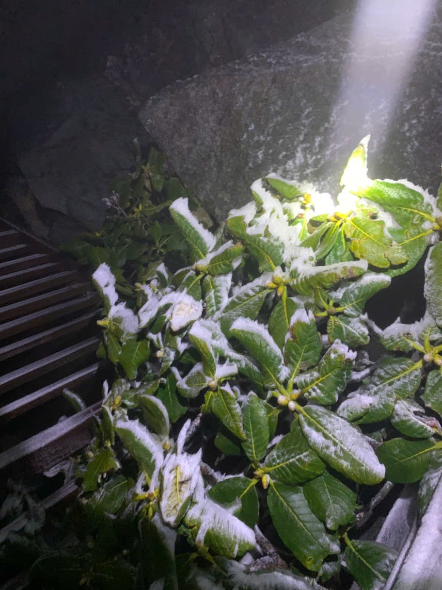 Fansipan ảnh 2 Fansipan anh 2