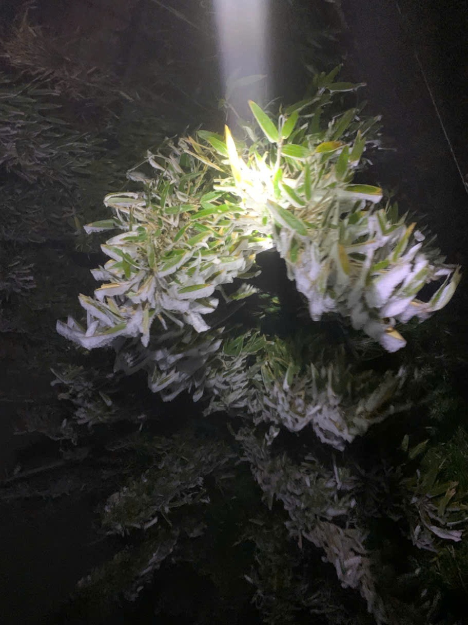 Fansipan ảnh 3 Fansipan anh 3