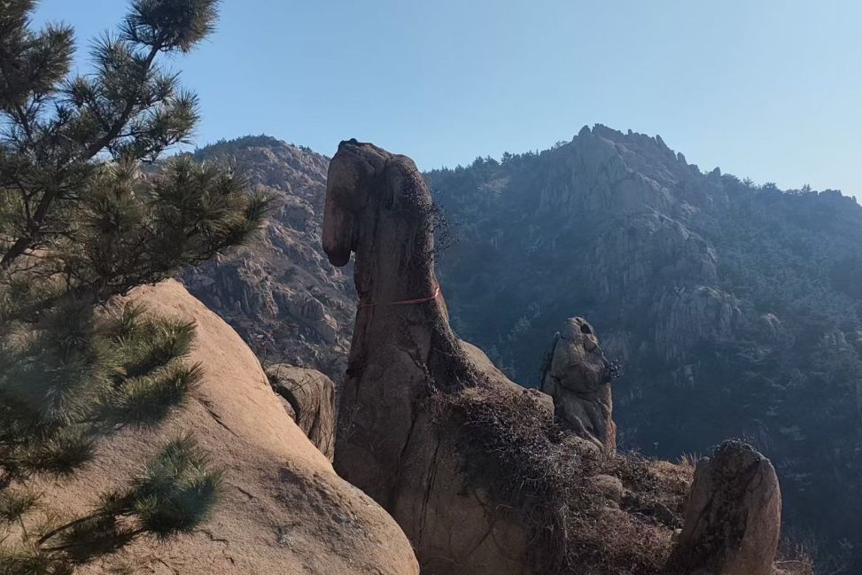 Do xo chup anh tang da hinh ngua tai Trung Quoc hinh anh