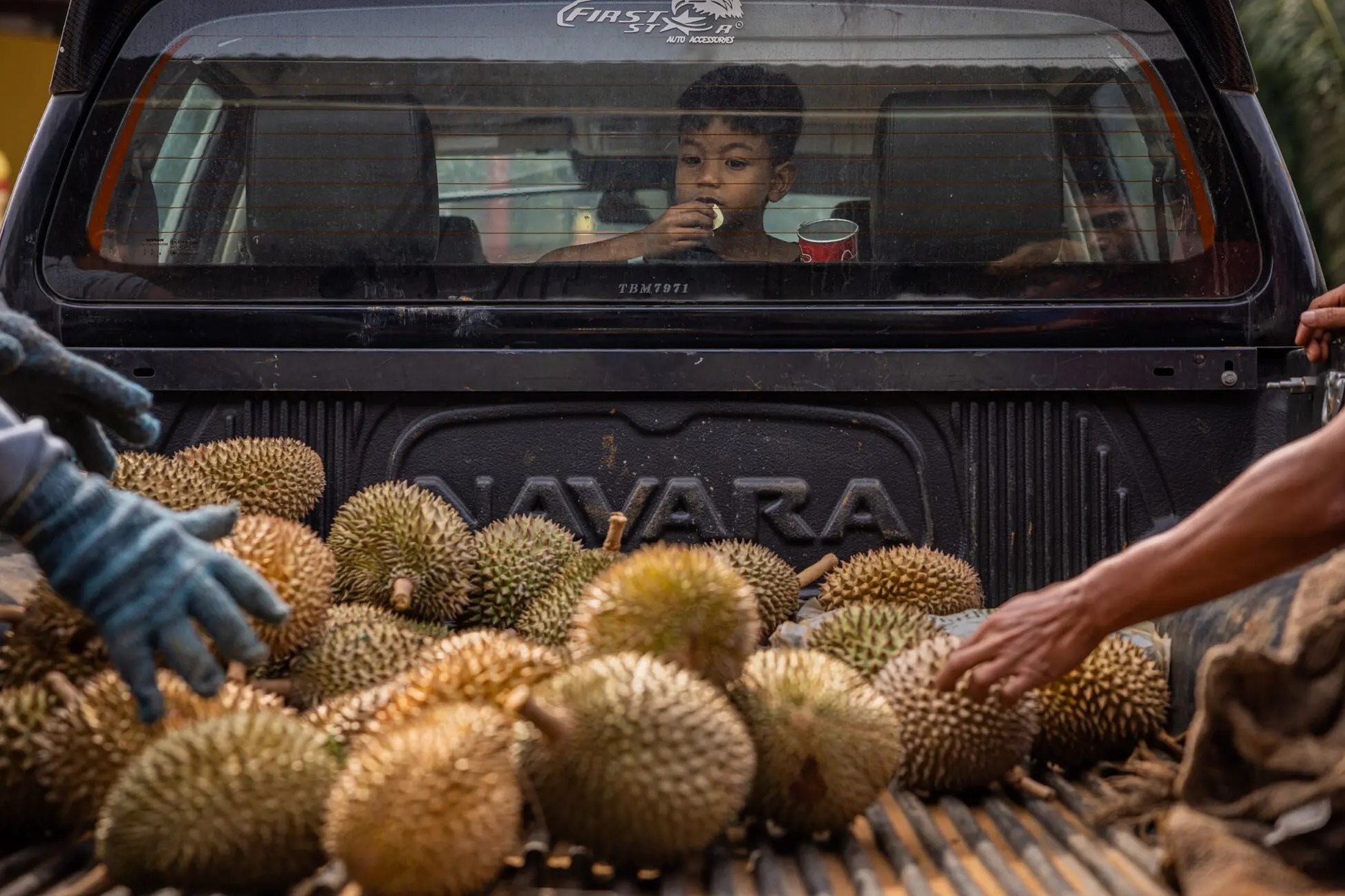 Khach Trung doi khau vi, sau rieng Malaysia ton kho, chat dong hinh anh