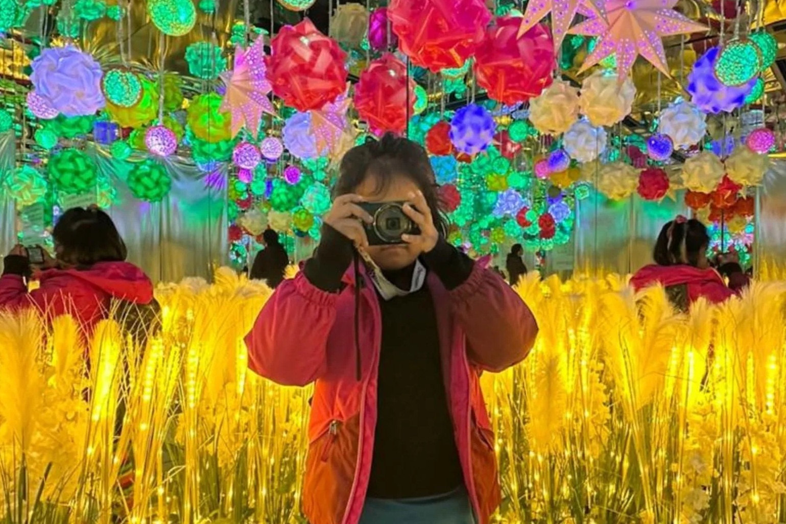 Khach An Do ke 2 tuan dua con 5 tuoi di xuyen Viet hinh anh