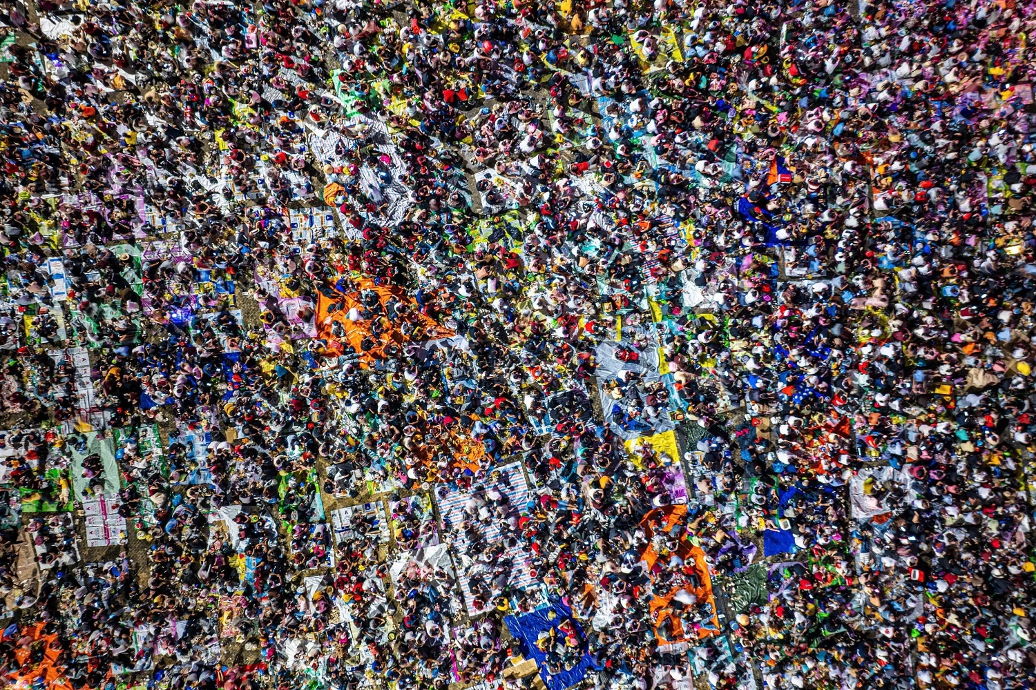 Nhiep anh gia ke phut chung kien canh ngoan muc duoi chan nui Ba Den hinh anh