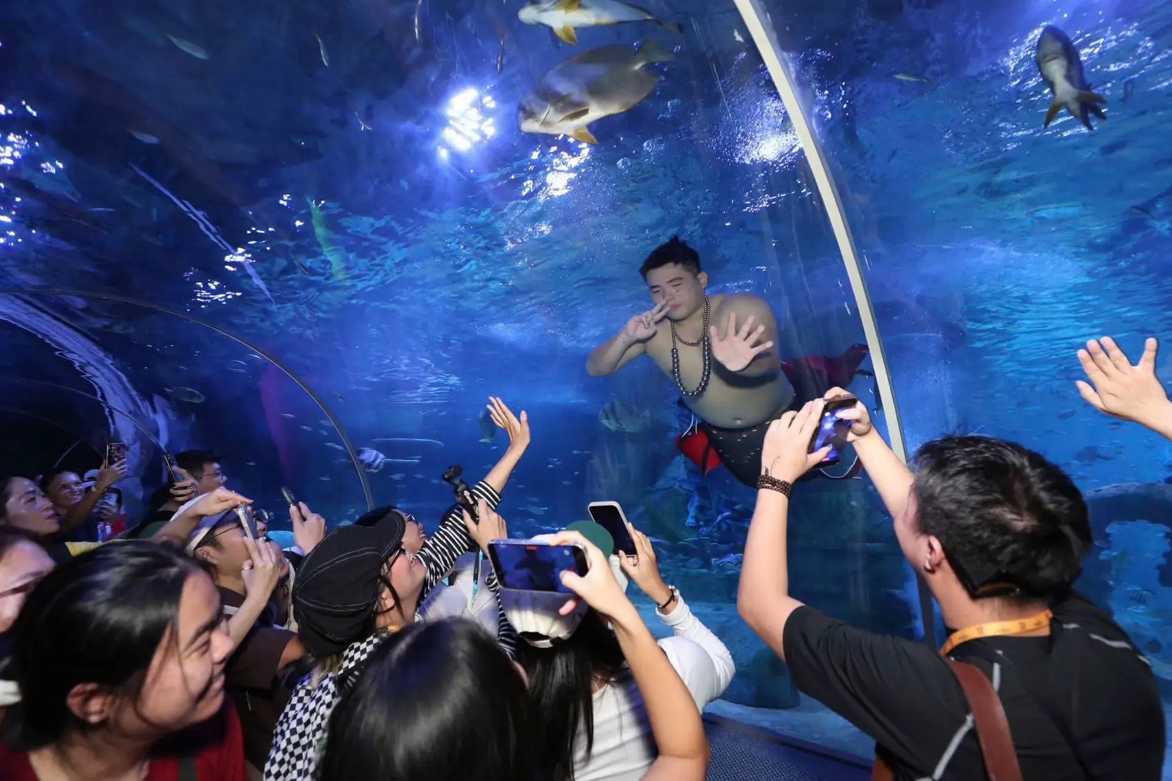 Chang trai noi tieng vi lam 'tien ca beo' trong thuy cung Nha Trang hinh anh