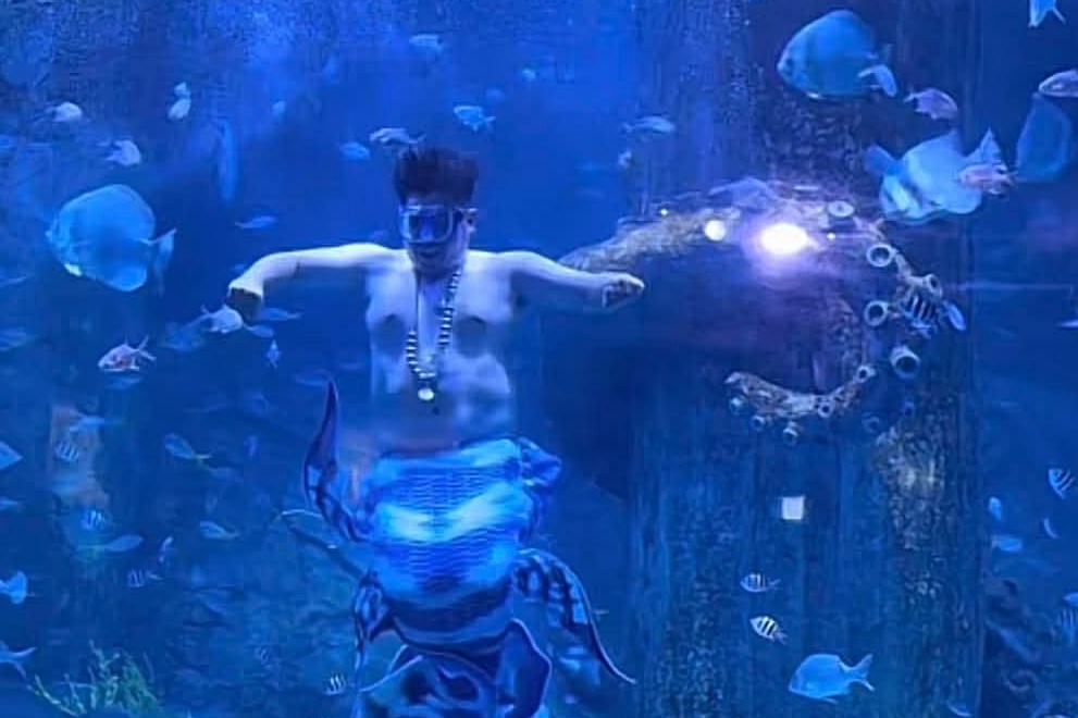 'Chang tien ca beo' bieu dien khoe co bung 1 mui trong thuy cung Nha Trang hinh anh