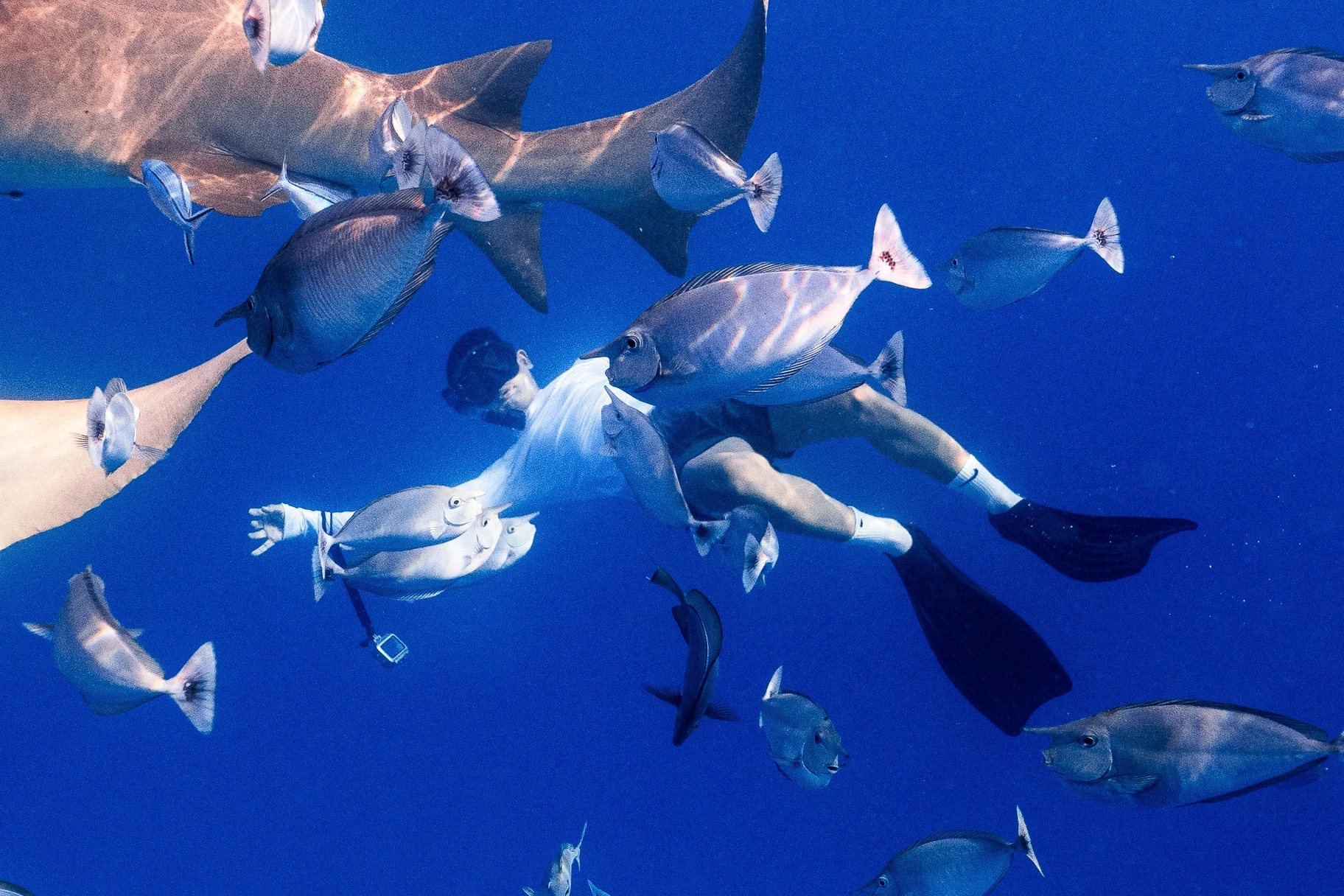 Khong biet boi co the lan bien khong? hinh anh