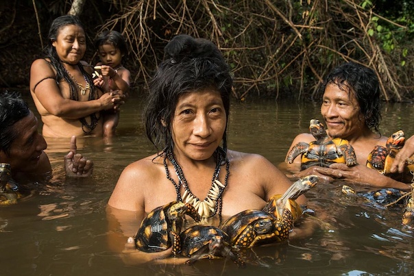 Bo toc song co lap o Amazon nhung van dung smartphone hinh anh