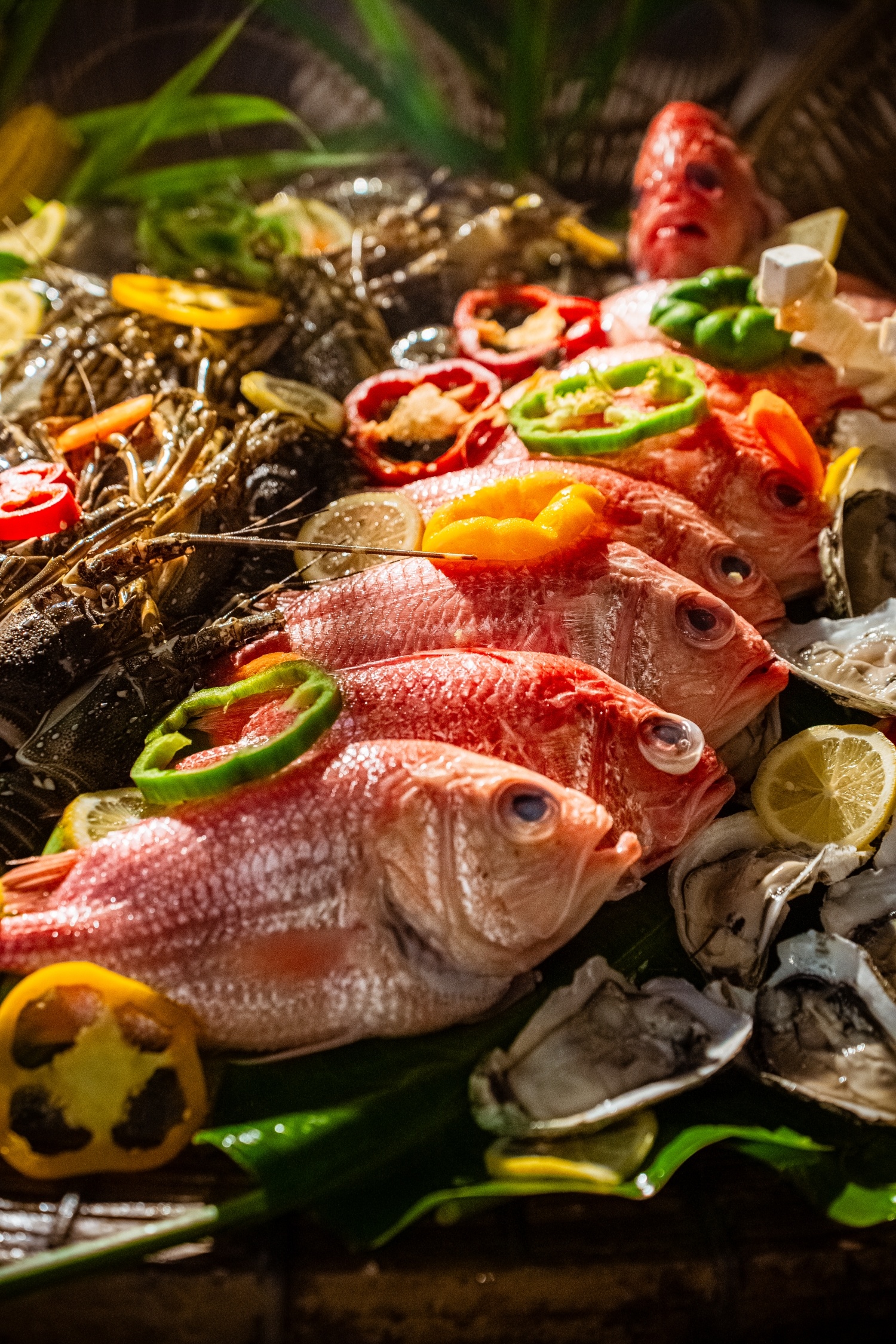 Grand Chapitre anh 3