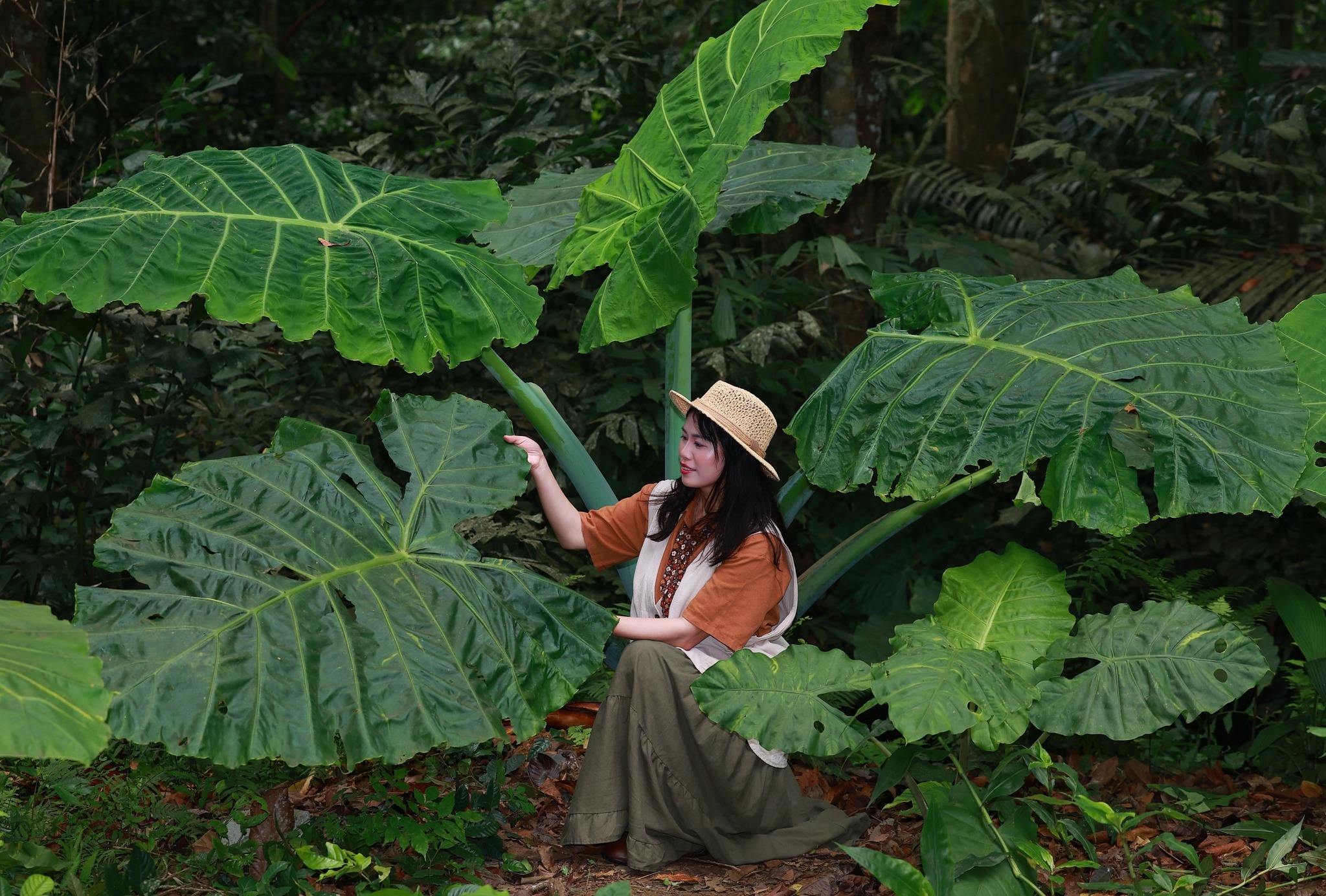 Xep hang, un tac khach chup anh bui ray khong lo o VQG Cuc Phuong hinh anh