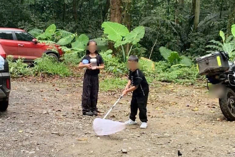 Khach mang vot bat buom, cat vao hop tai VQG Cuc Phuong hinh anh