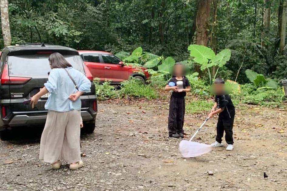 Khach mang vot bat buom, cat vao hop tai VQG Cuc Phuong hinh anh