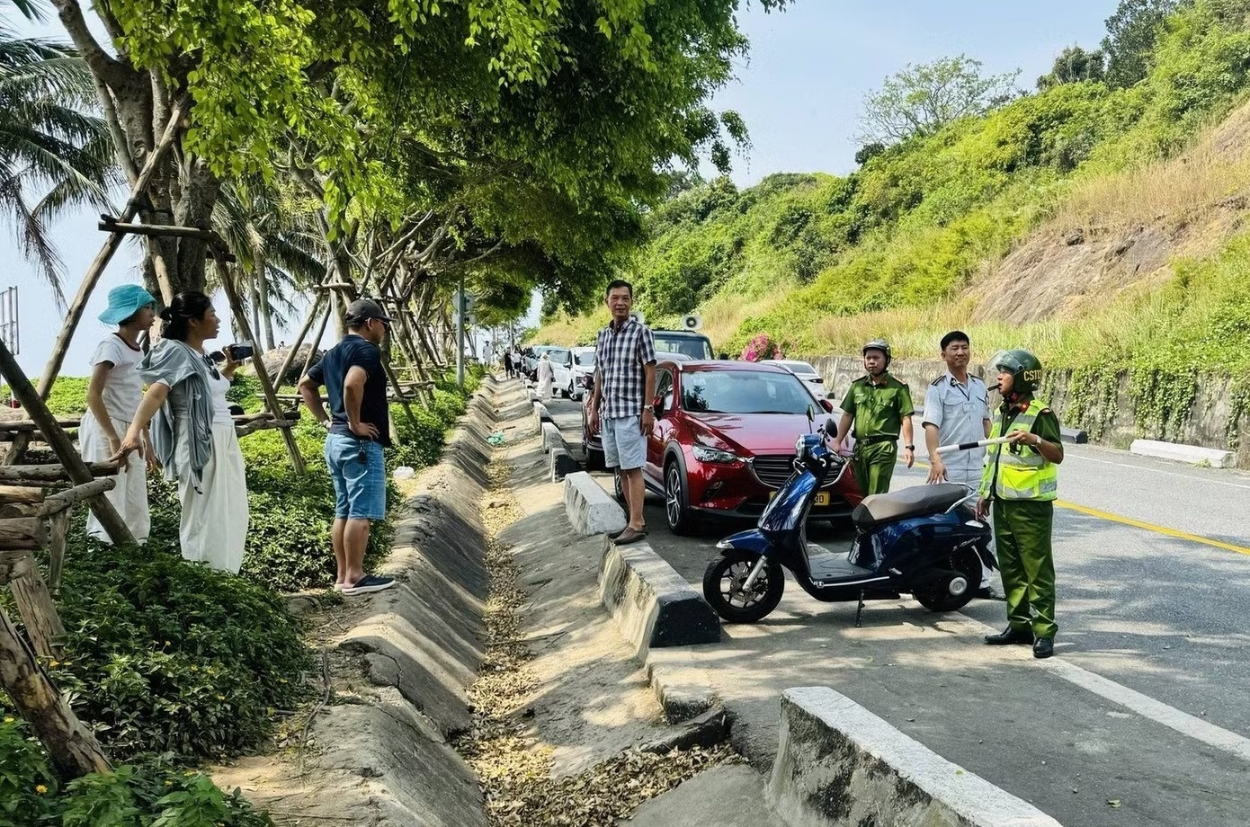 Ban dao Son Tra anh 2