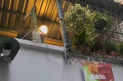 Quan tra treo day 'gay sot' mang xa hoi o TP.HCM hinh anh