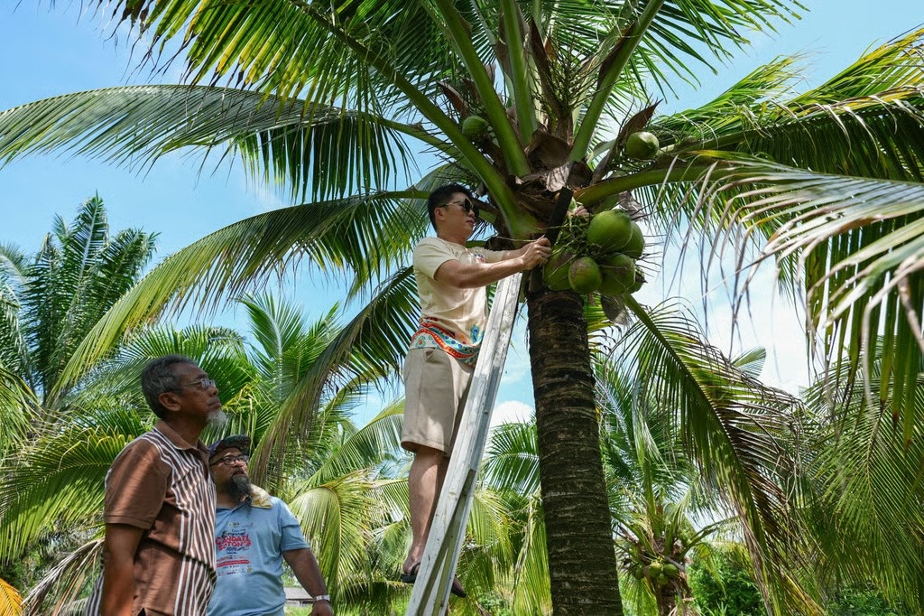 Trung Quoc anh 4