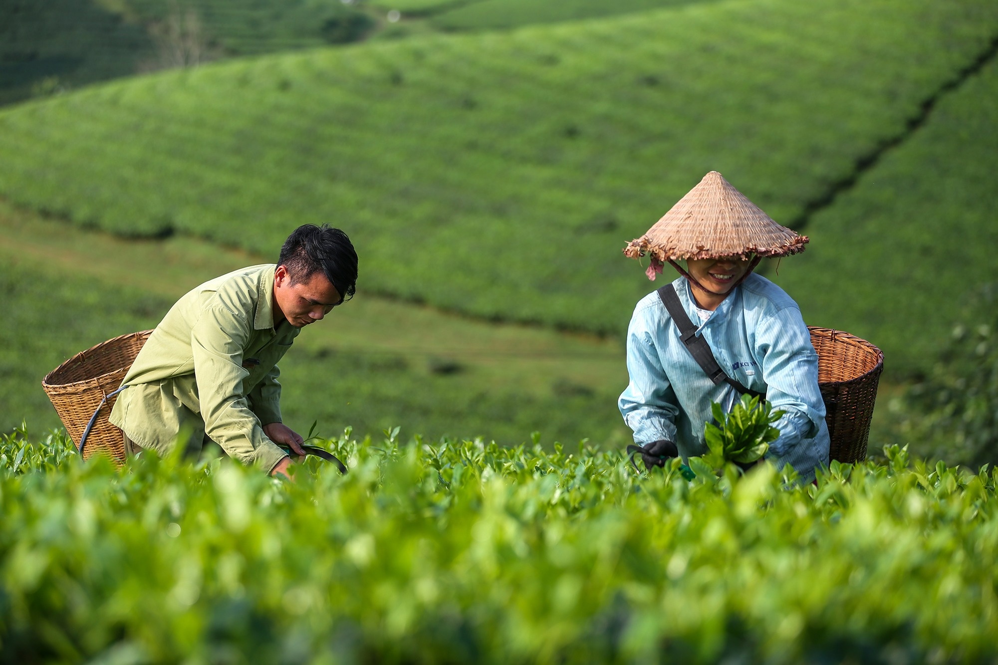 Long Cốc ảnh 4 Long Cốc ảnh 4