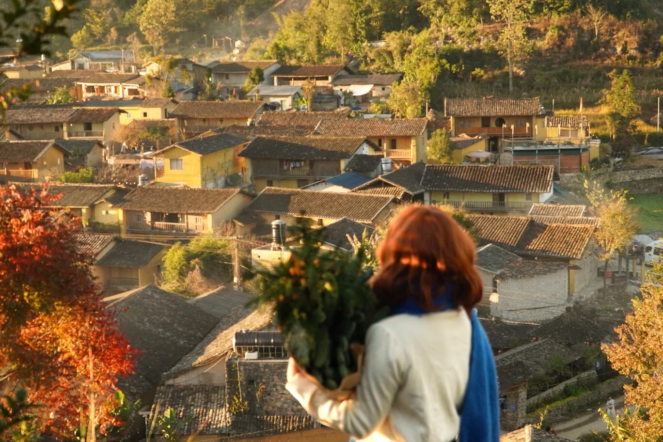 L&ocirc; L&ocirc; Chải ảnh 1