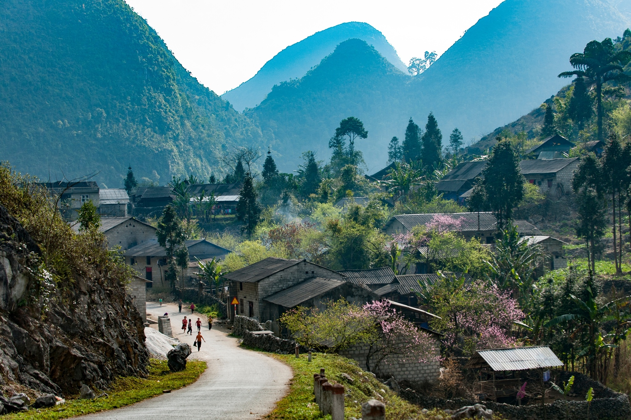 T&acirc;n Sơn Nhất ảnh 2