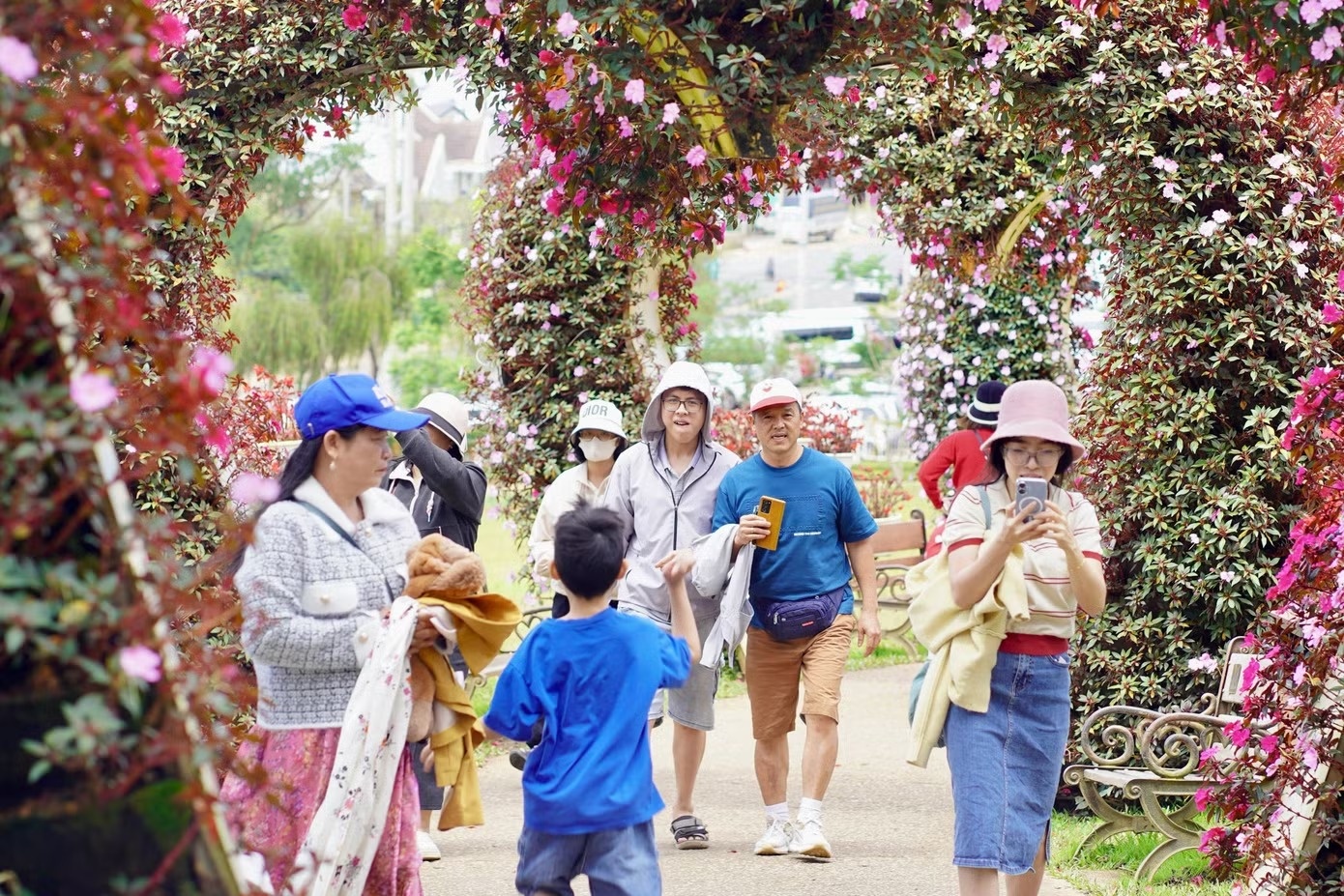 Đ&agrave; Lạt ảnh 5