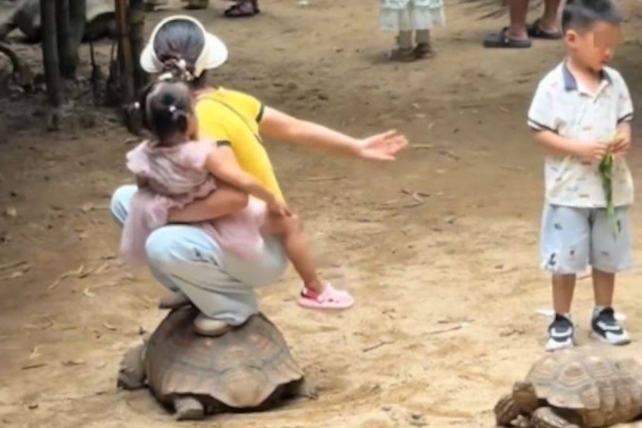 Du khách thành tội đồ vì giẫm lên lưng rùa ở Trung Quốc
