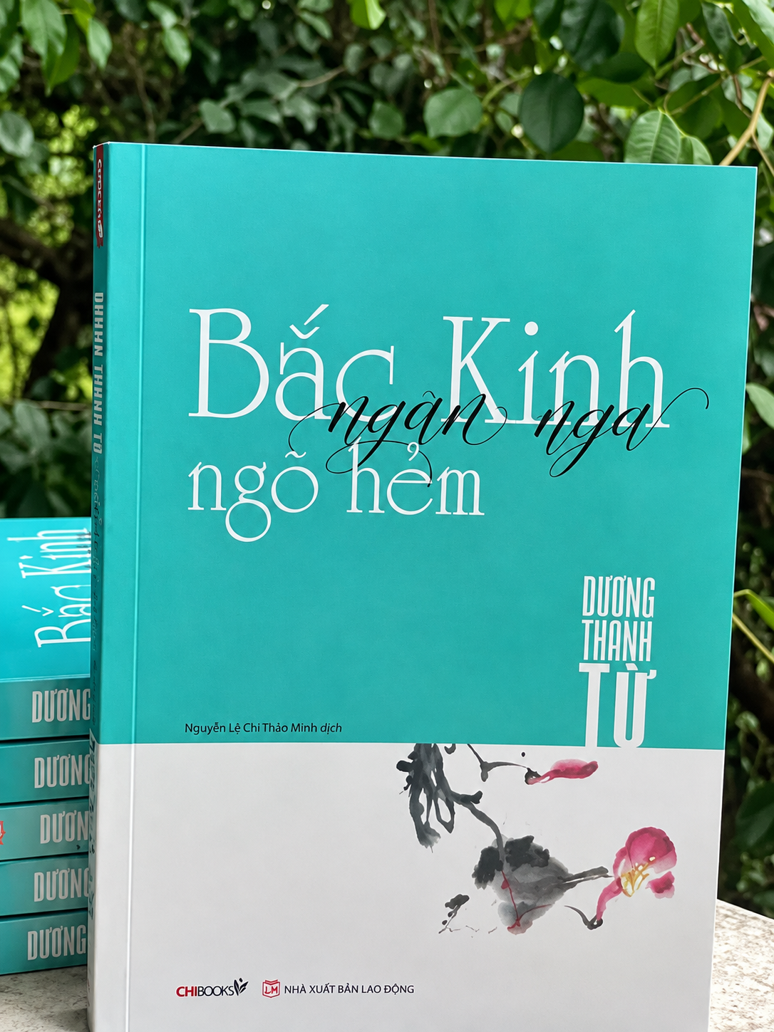Bắc Kinh ảnh 13