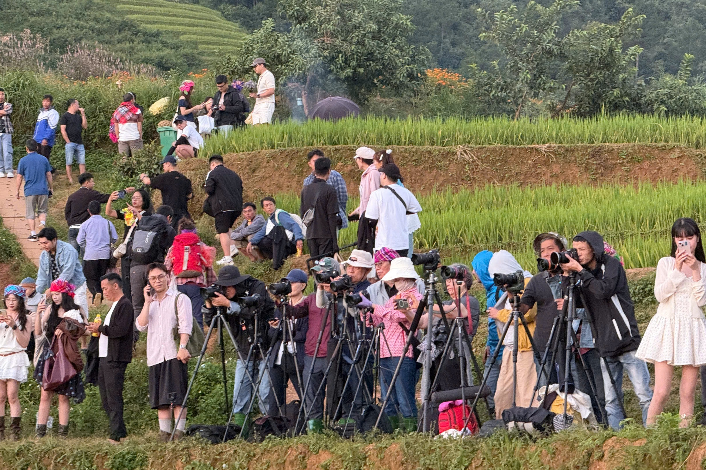 M&ugrave; Cang Chải ảnh 1