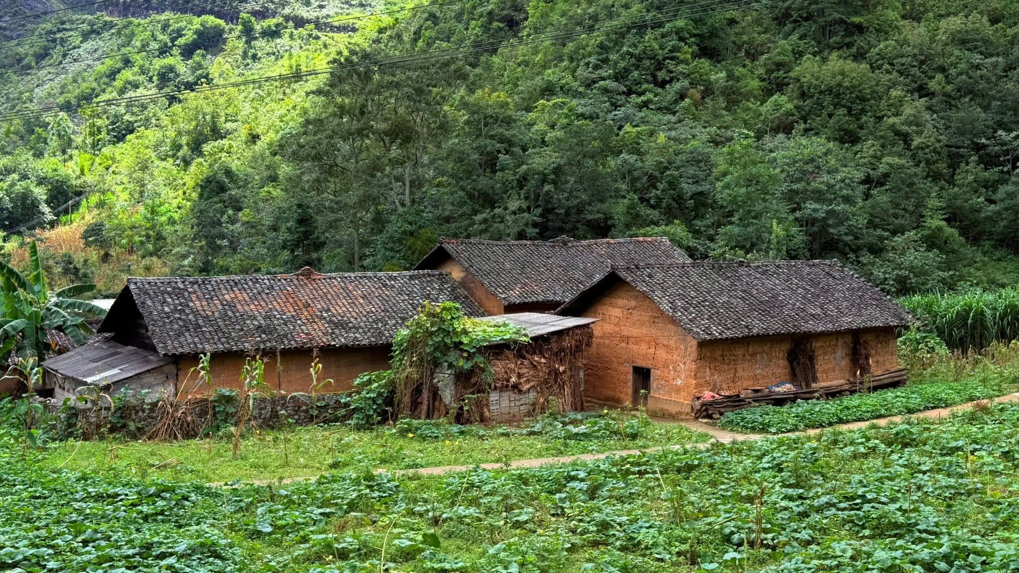 H&agrave; Giang ảnh 3