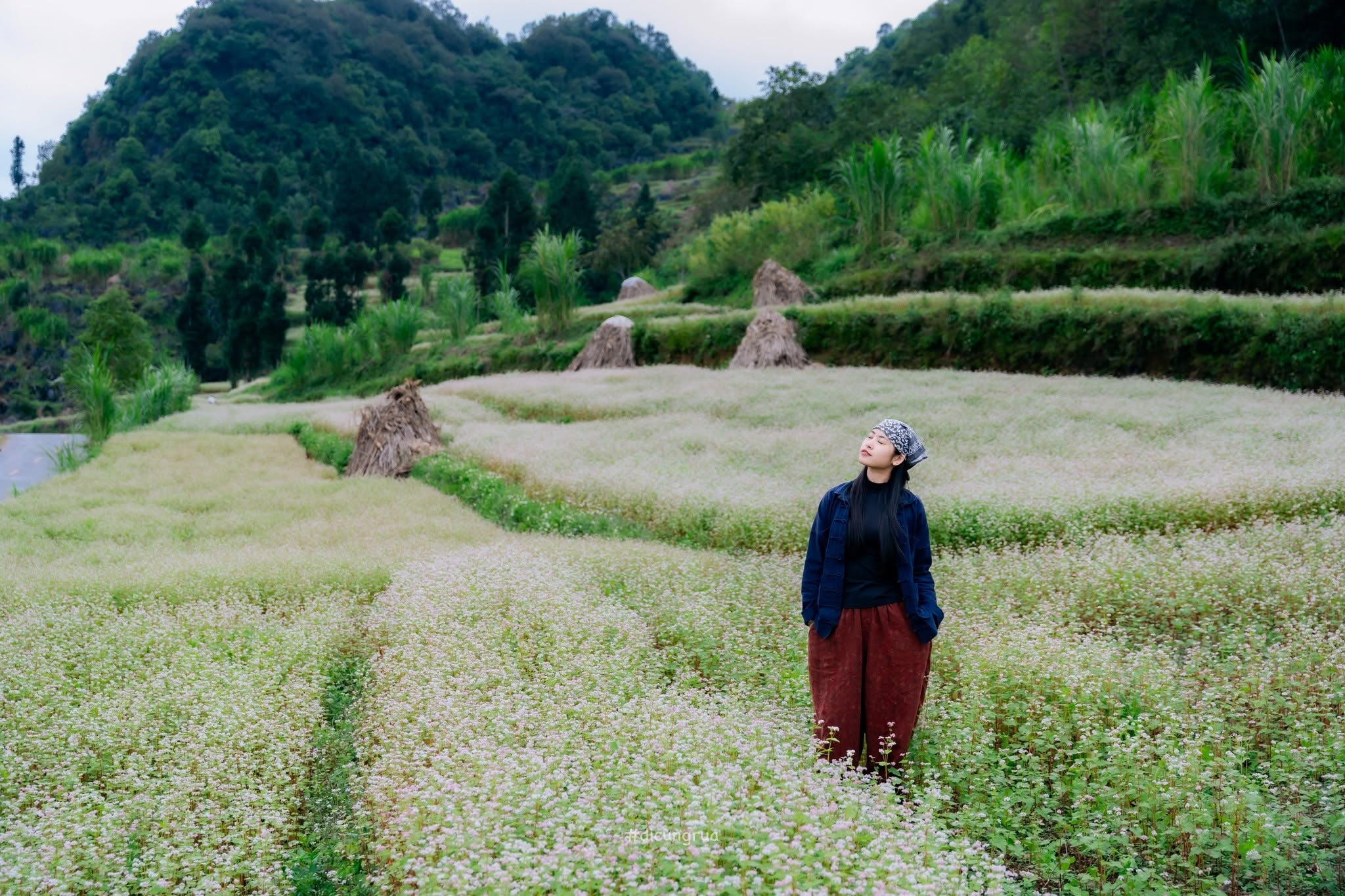 Lũng C&uacute; ảnh 6