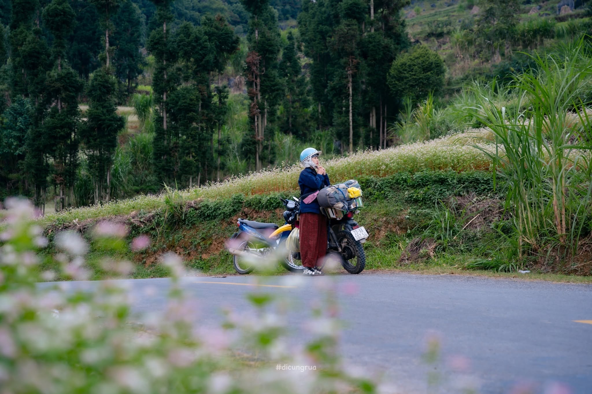 Lũng C&uacute; ảnh 5
