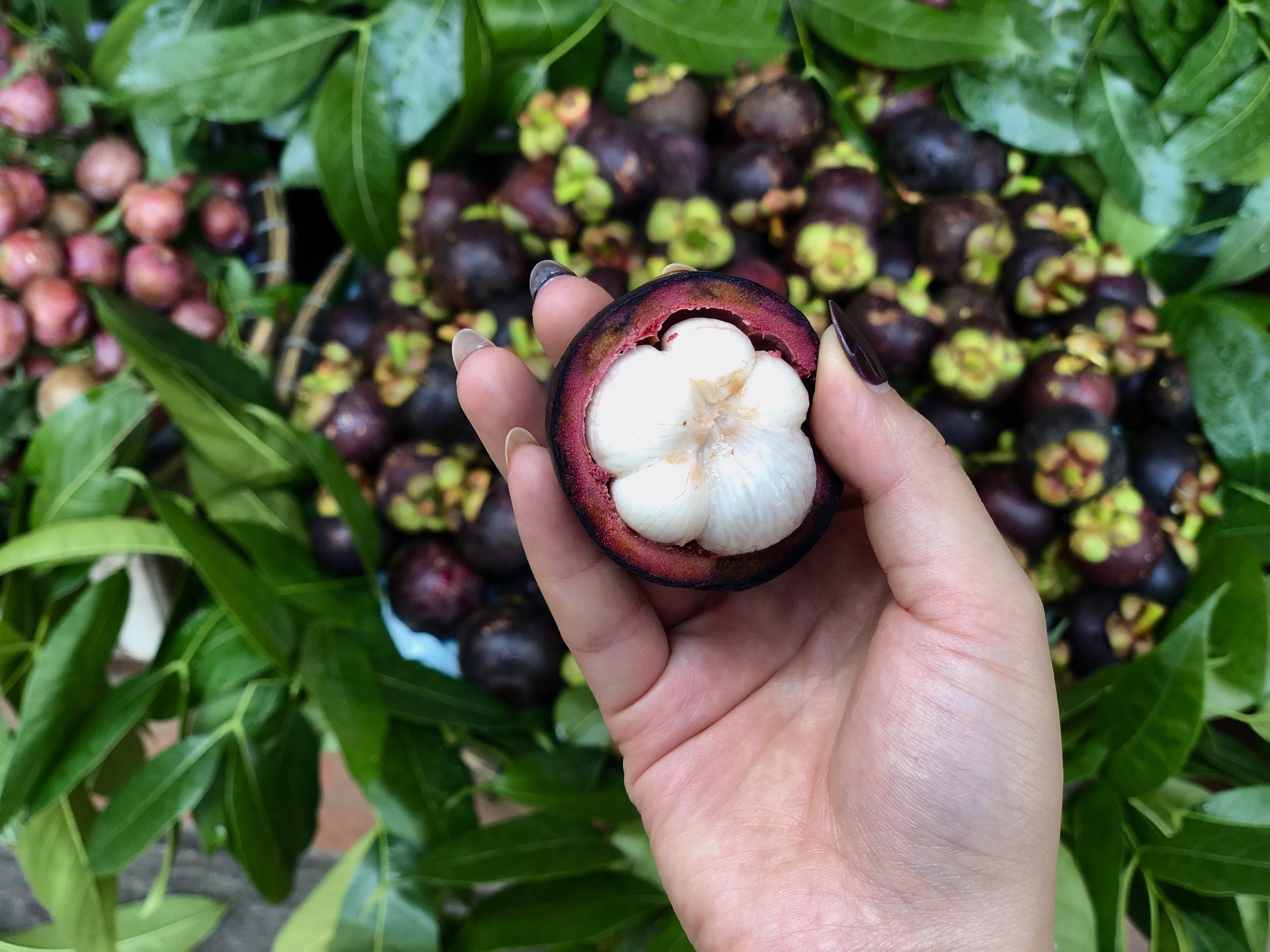 hoa qua Thai Lan nhon nhip anh 2