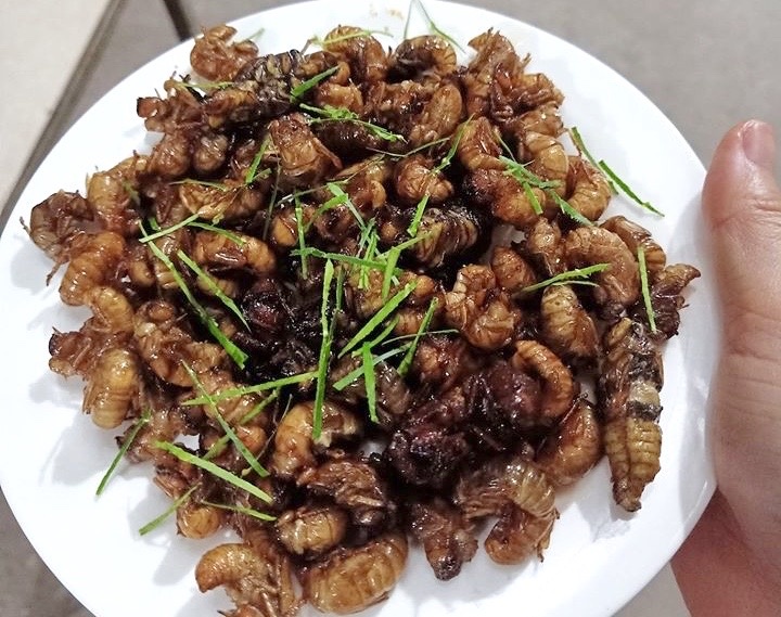 nhong ve sau dau mua gia cao anh 2