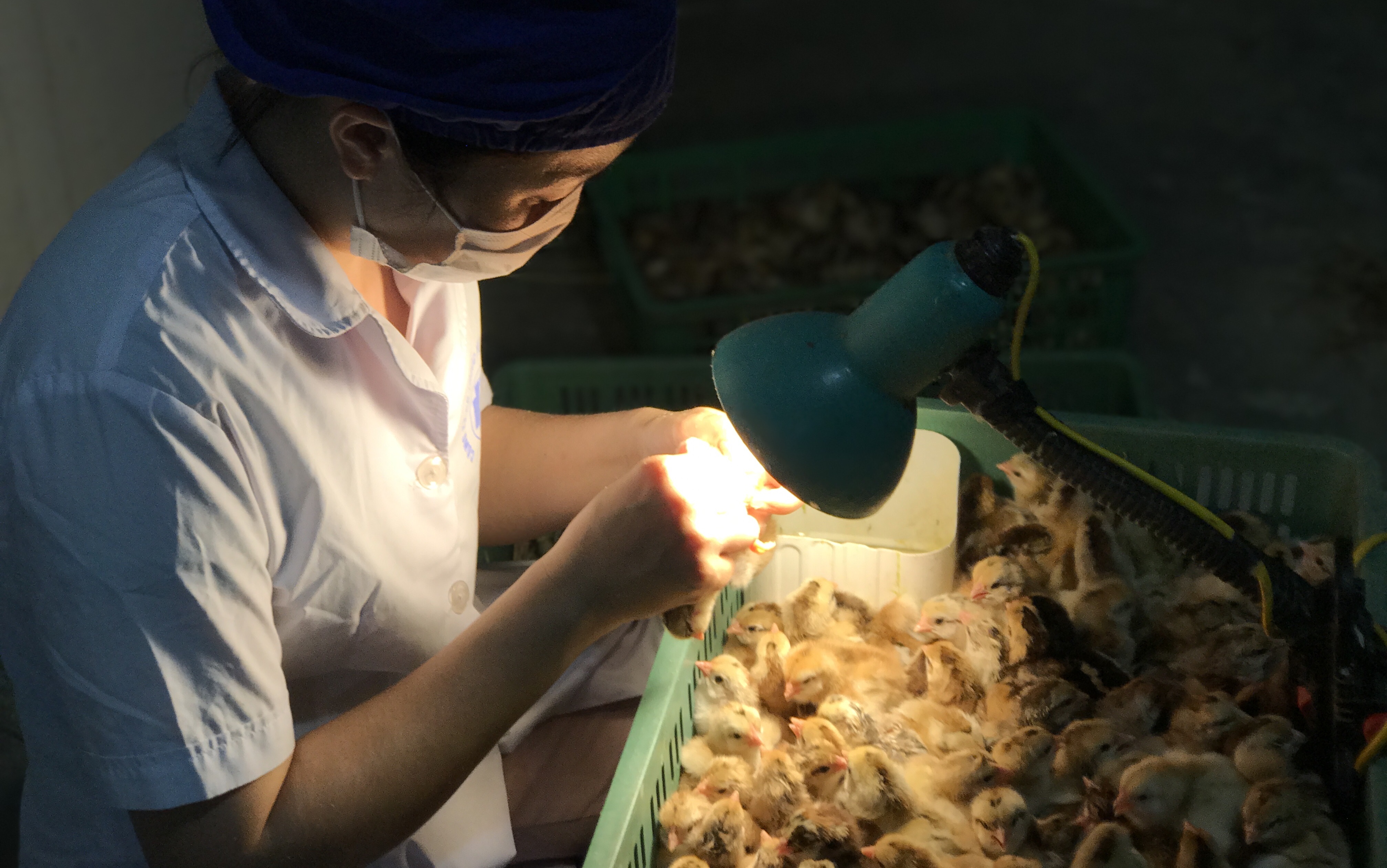 Soi gioi tinh ga kiem 2 trieu/ngay hinh anh