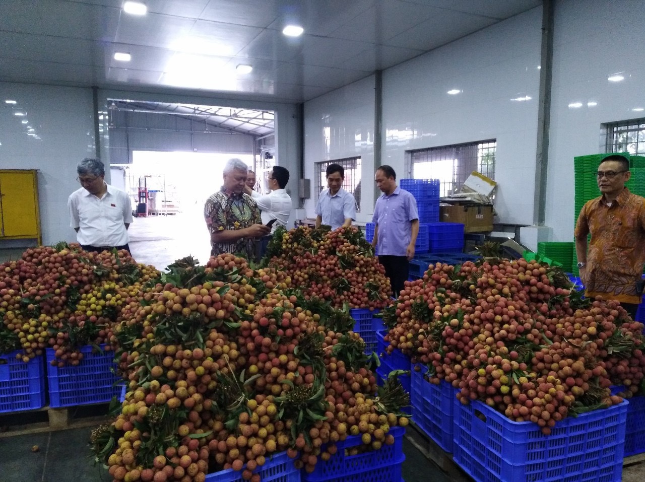 vai thieu xuat sang Nhat Ban anh 2