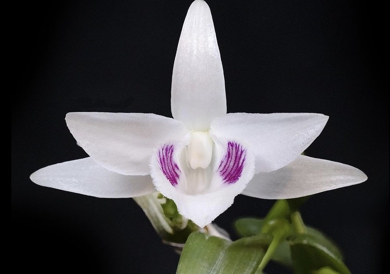 Sap bay lam giau tu lan dot bien tien ty hinh anh