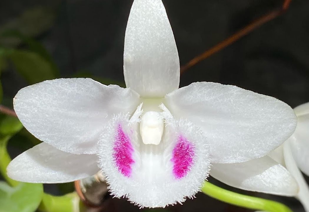 Phong giao duc huyen canh bao viec giao vien di buon lan dot bien hinh anh