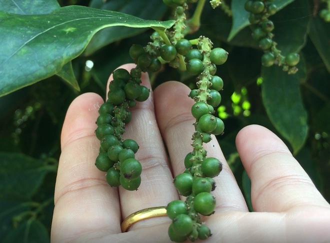 Bo Cong Thuong vao cuoc ‘giai cuu’ 58 container tieu bi mac ket hinh anh