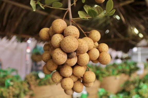 Nhieu bo bat tay tim dau ra cho hon 50.000 tan nhan long Hung Yen hinh anh