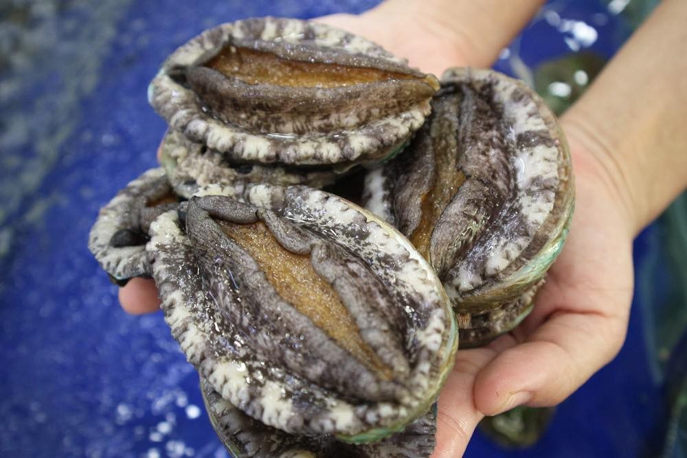 Bao ngu gia re tran ngap cho mang hinh anh