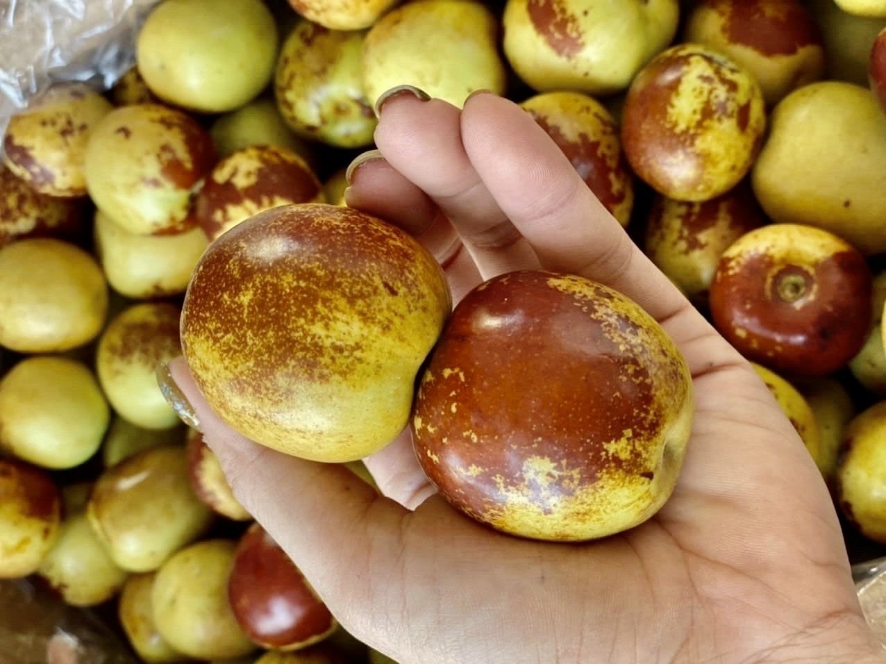 Tao tau tuoi gia 200.000 dong/kg hut khach hinh anh