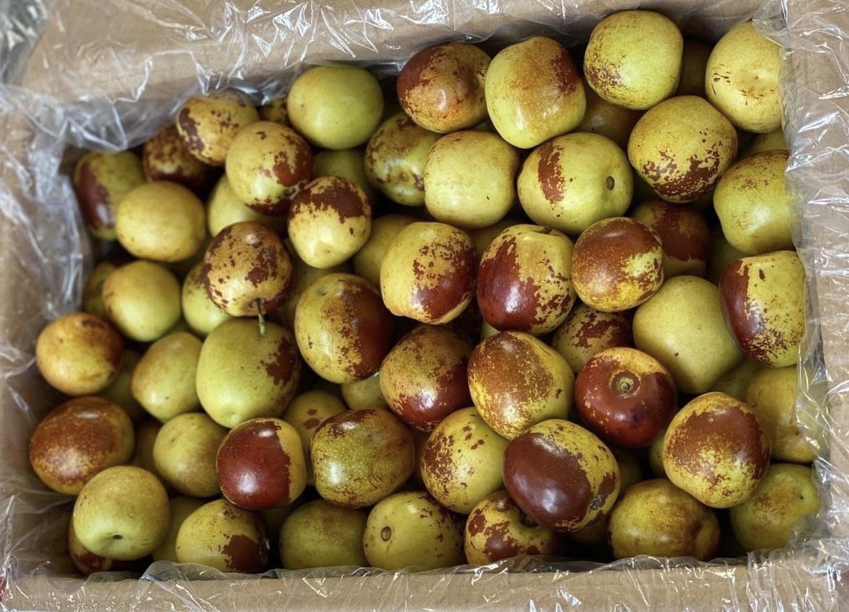 Tao tau tuoi Trung Quoc anh 2