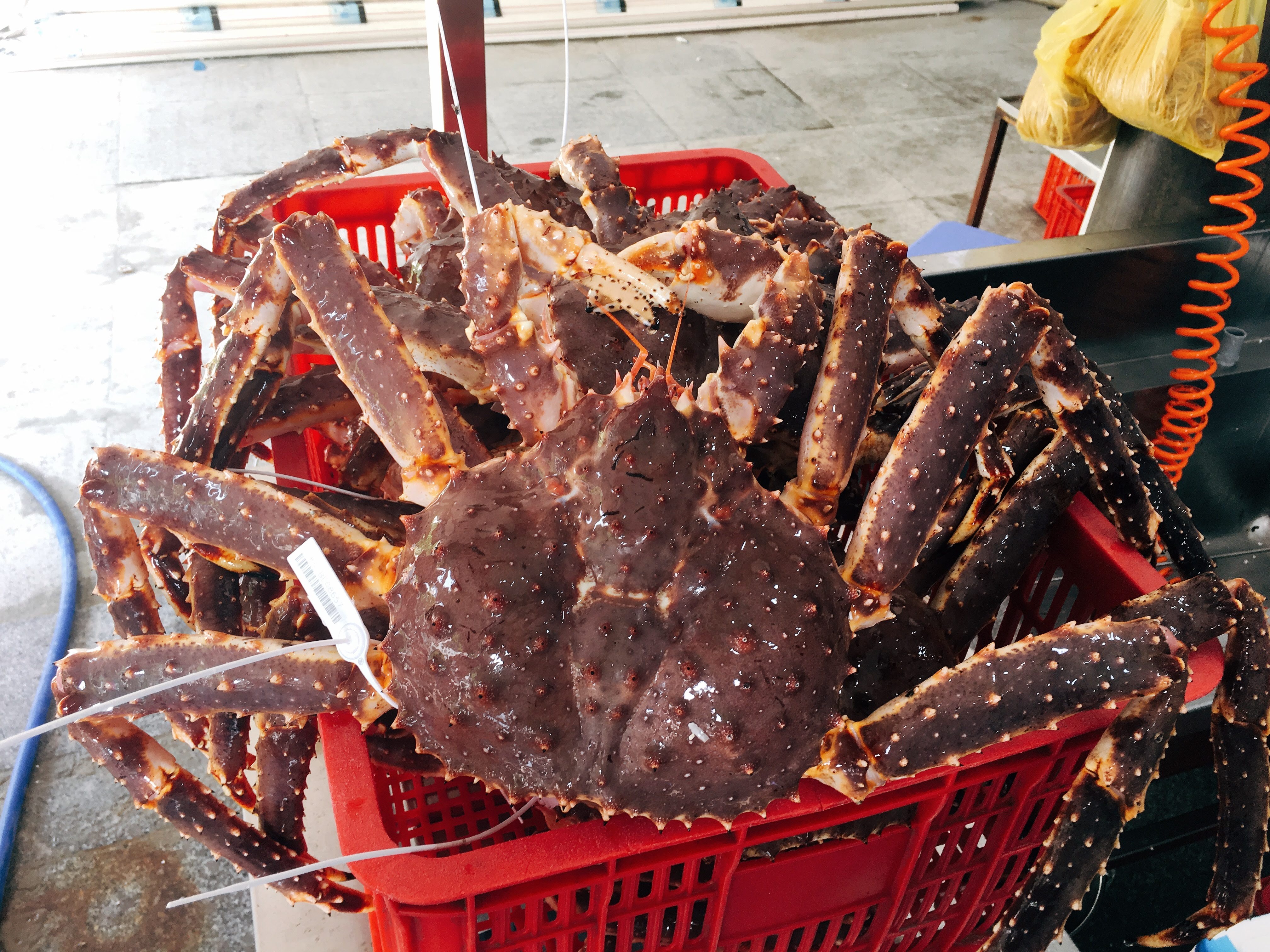 Cua hoang de giam gia anh 2