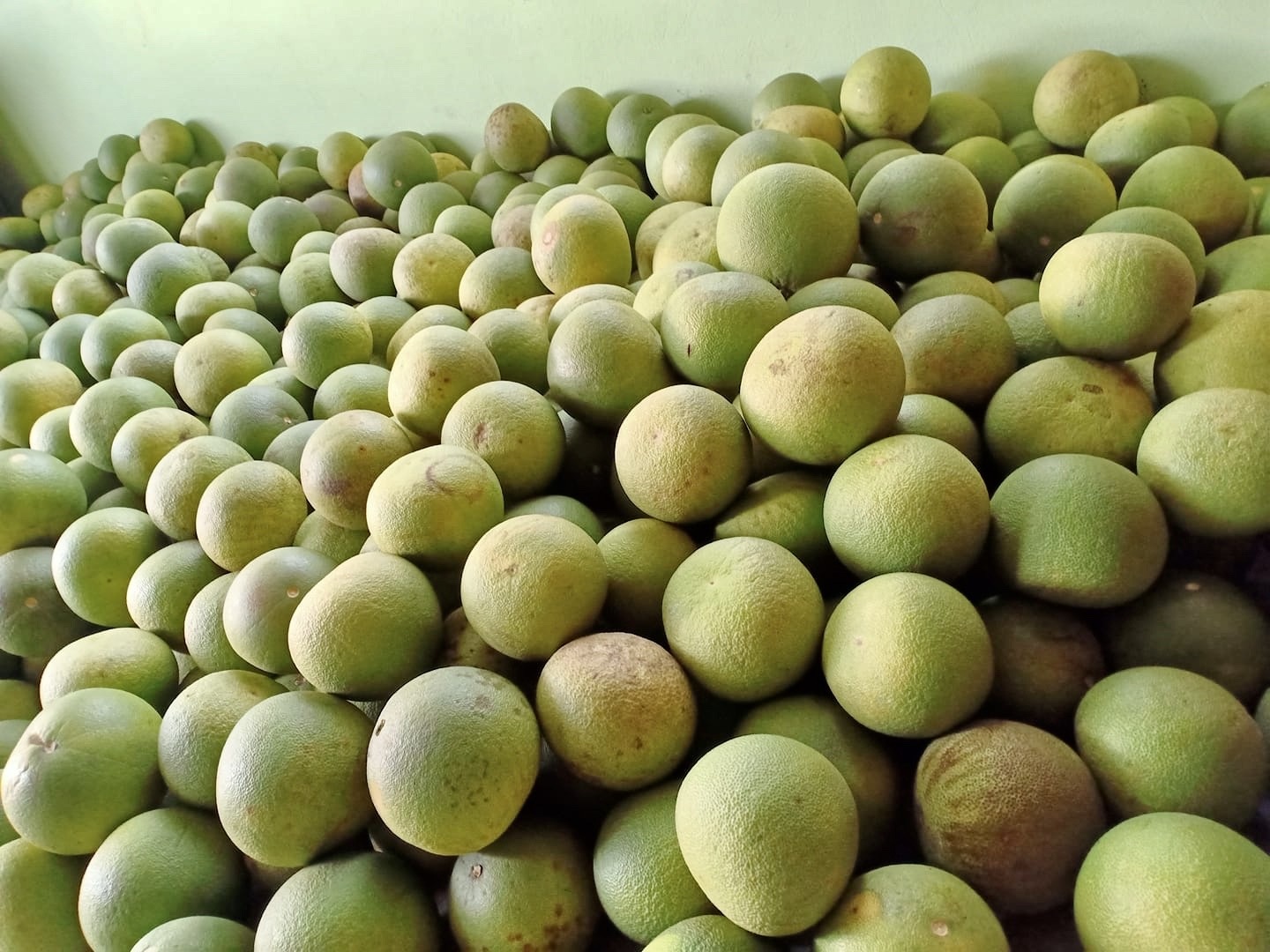 2.000 dong mot qua buoi Dien, Doan Hung hinh anh