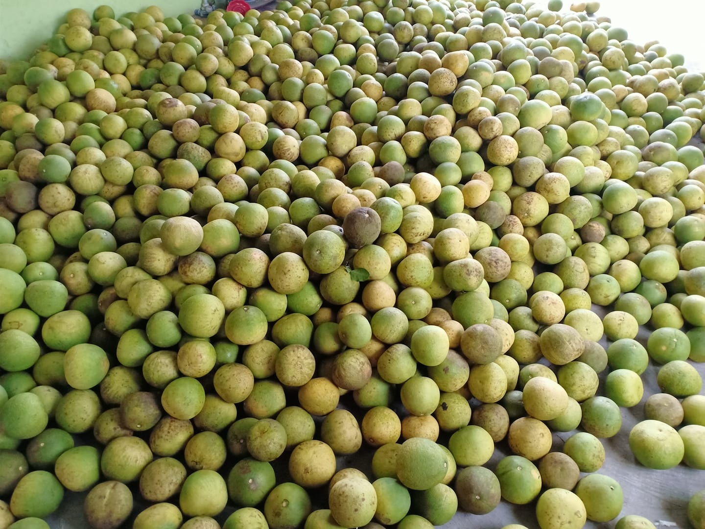 buoi gia 2.000 dong anh 1