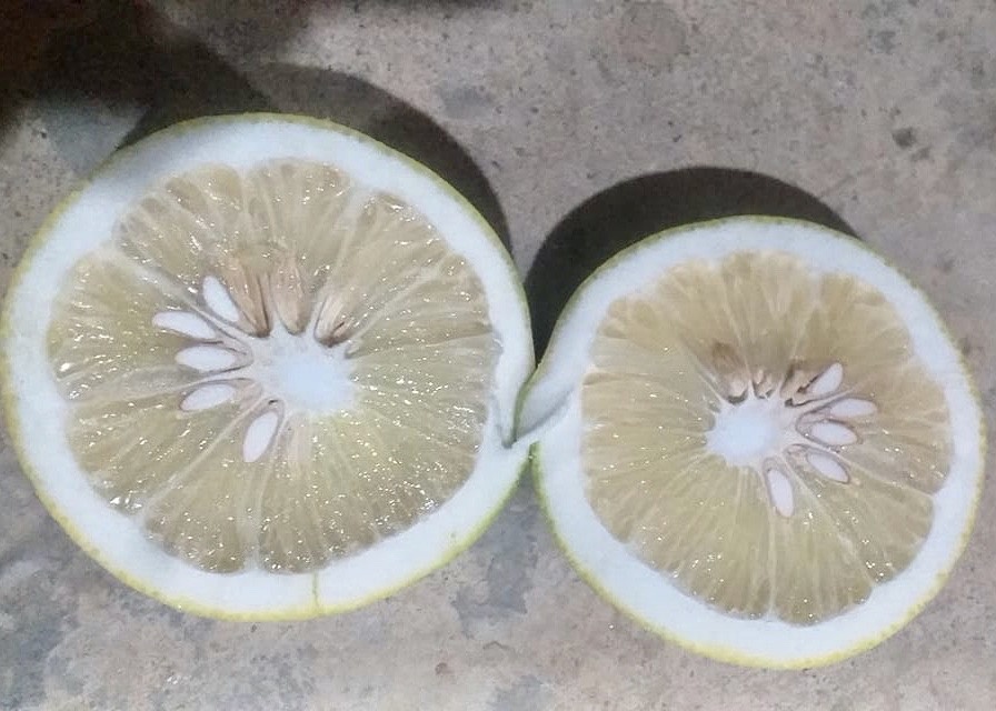 buoi gia 2.000 dong anh 2