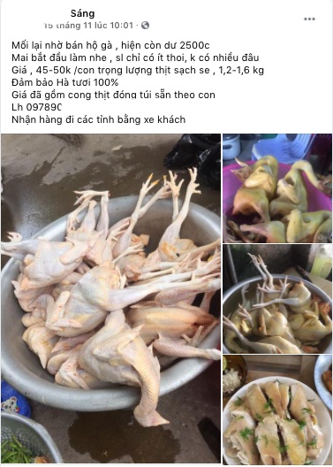 45.000 dong mot con ga ri tha doi anh 1