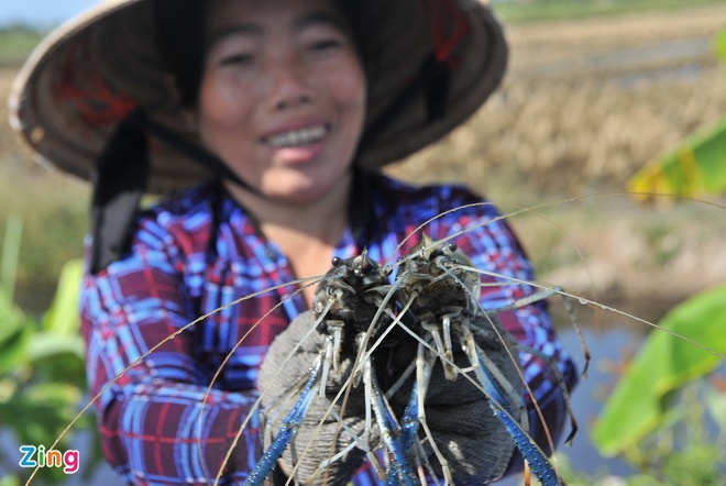 Chinh thuc ket thuc dam phan FTA Viet Nam va Anh anh 2